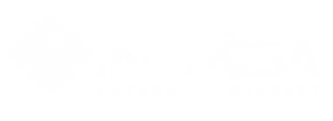 intikisa (17)
