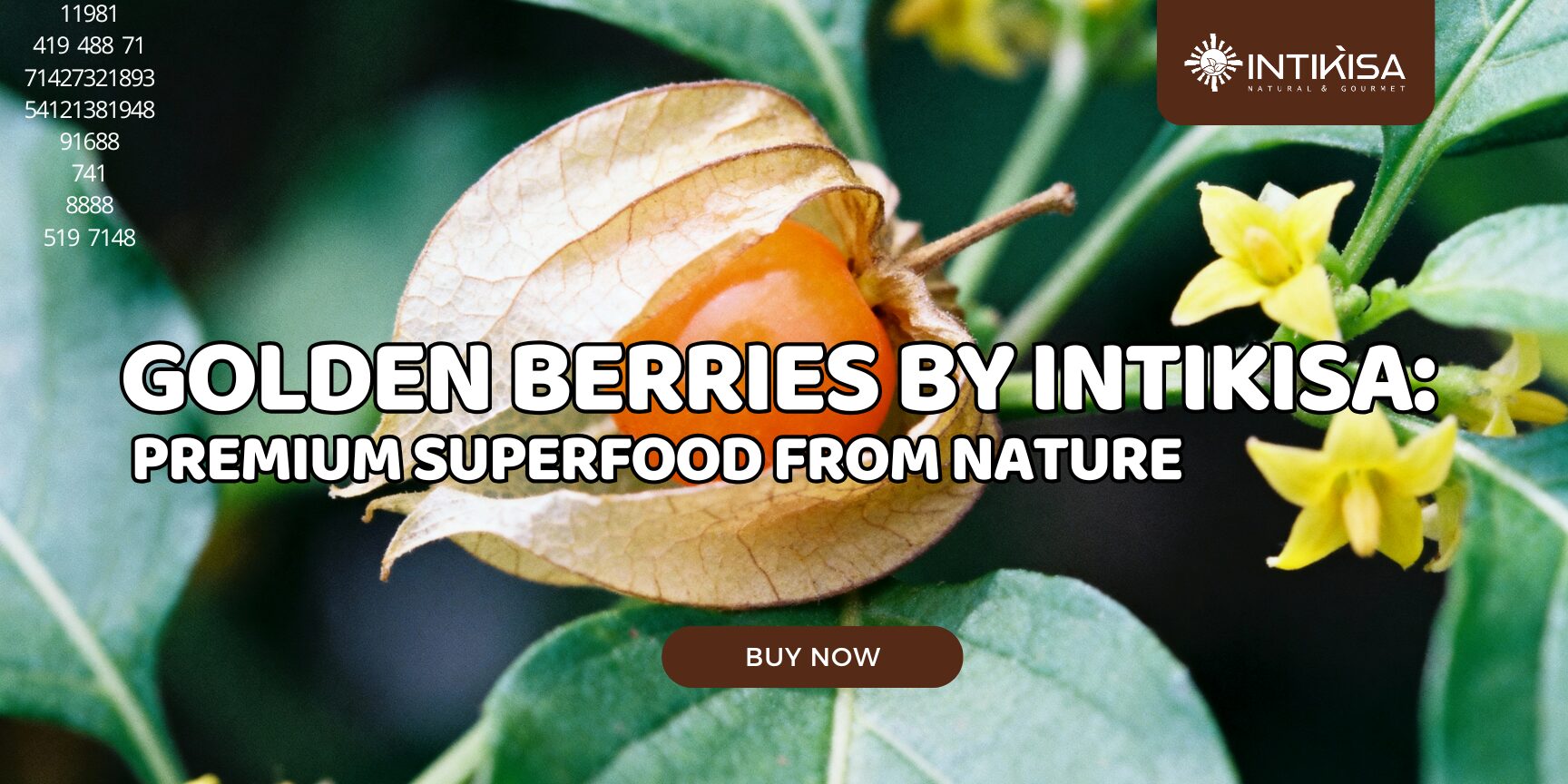 Golden Berries by Intikisa Premium Superfood from Nature Golden Berries by Intikisa Premium Superfood from Nature