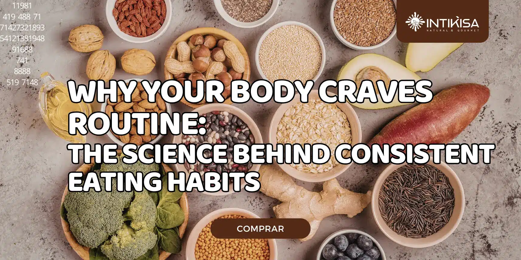 Why Your Body Craves Routine The Science Behind Consistent Eating Habits