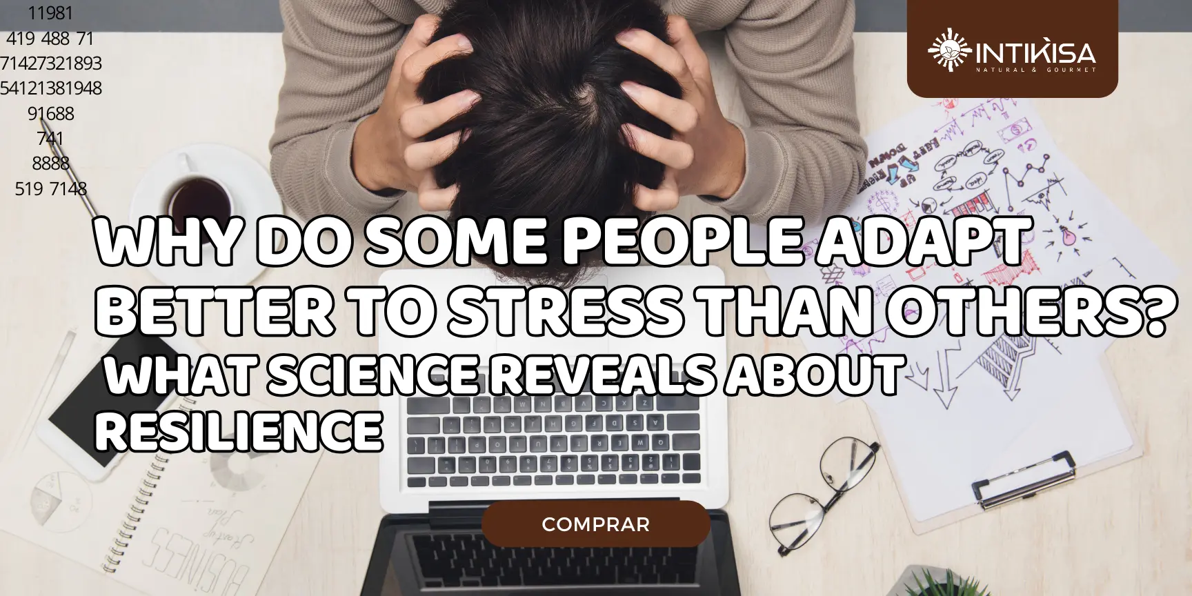 13.07Why Do Some People Adapt Better to Stress Than Others
